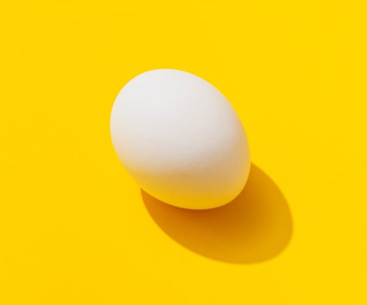 an image of a egg